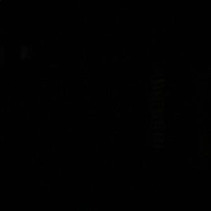 Meet your Posher, Ross